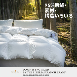2024 Autumn and Winter Lightweight 95% White Goose down Quilt Winter Quilt Spring and Autumn Quilt High-End Warm Thick Quilt Core