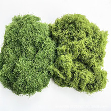 ����ë����̦��ƺ̦�\�Gֲ�쾰�����b�������bz�����̦