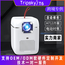�羳ͶӰ�x���ñ�yʽ����ͶӰ�C��ͥӰԺ���ⰲ׿�����֙CͶ��