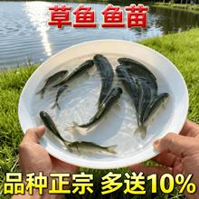 ���~�~�絭ˮ�Bֳʳ�ð���ش���~�����lС���~���~����~�����l