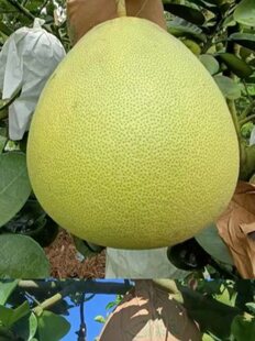 �����״��������˹����י��ʴ�����B�������ˮ�����o����