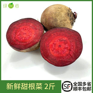 ���r�t���^��˸�2�� ����� �ϲ��^����^ ե֭�[�P�b��߲�ʳ��