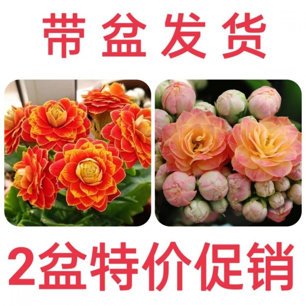 731769d3-5d22-47a4-87dd-794f81a9e2d7.jpe