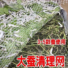 �Q���������W��ɳ�Wȥɳ�W�B�Q�����坍�W��ρ�W��С�Q�W�Vɳ�W