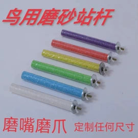 其他小宠用品;鸟类;鸟食