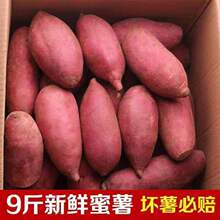 ���r�t�����SƤ�F�����������ع��������ϼtܛŴ���������ɴ��l