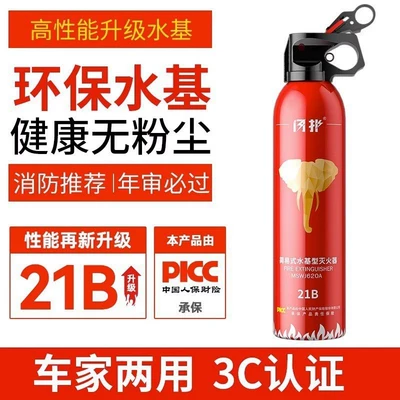 Vehicle fire extinguisher – Annual Inspection - 600ml21b-fire-extinguisher