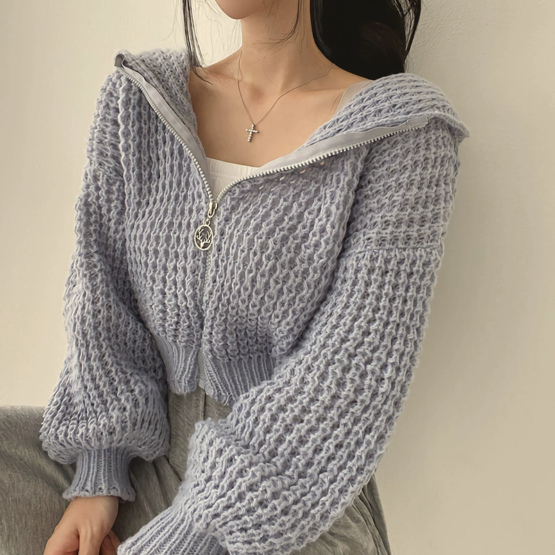Короткий вязаный свитер с капюшоном, корейский стиль, демисезонный, one size (обхват груди 92 см)