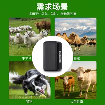 Beidou, and Wifi Positioning, GPS Locator