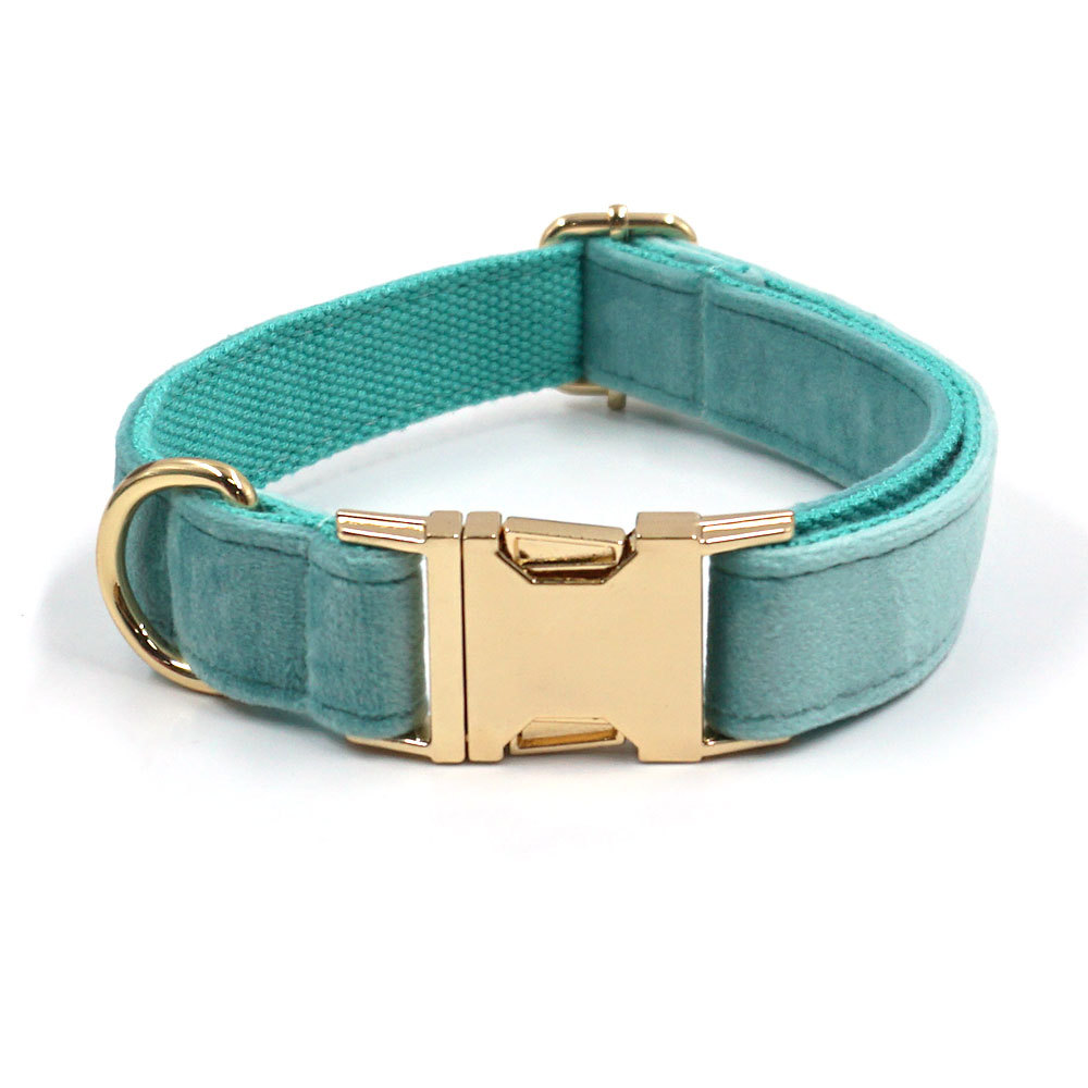 Stylish Dog Collar