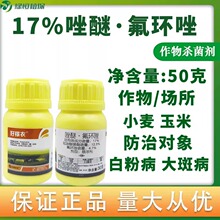 17%ѷhѾСװ׷۲߲Ʒrș