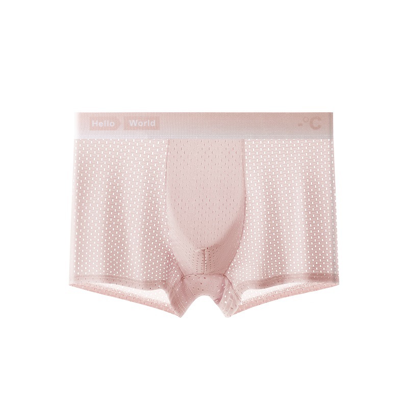 Ropa interior masculina de seda de hielo verano delgada malla de cintura media transpirable Boxer shorts para niños cabeza ropa interior juvenil antibacteriana