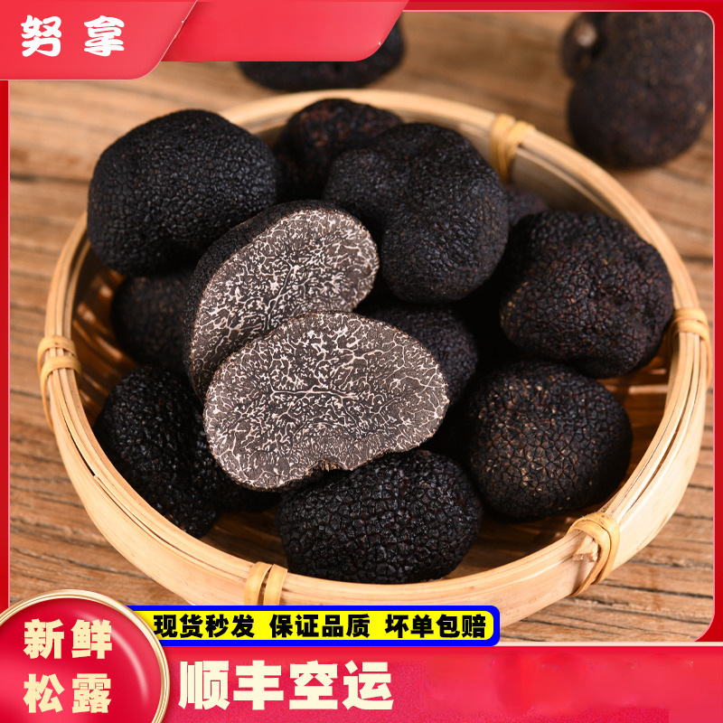 云南高黎贡山新鲜黑松露菌500g生吃刺身云南特产新鲜菌菇块菌煲汤