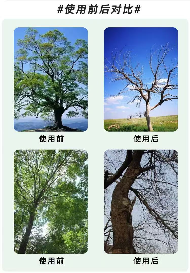 微信图片_20250913164002_46_11