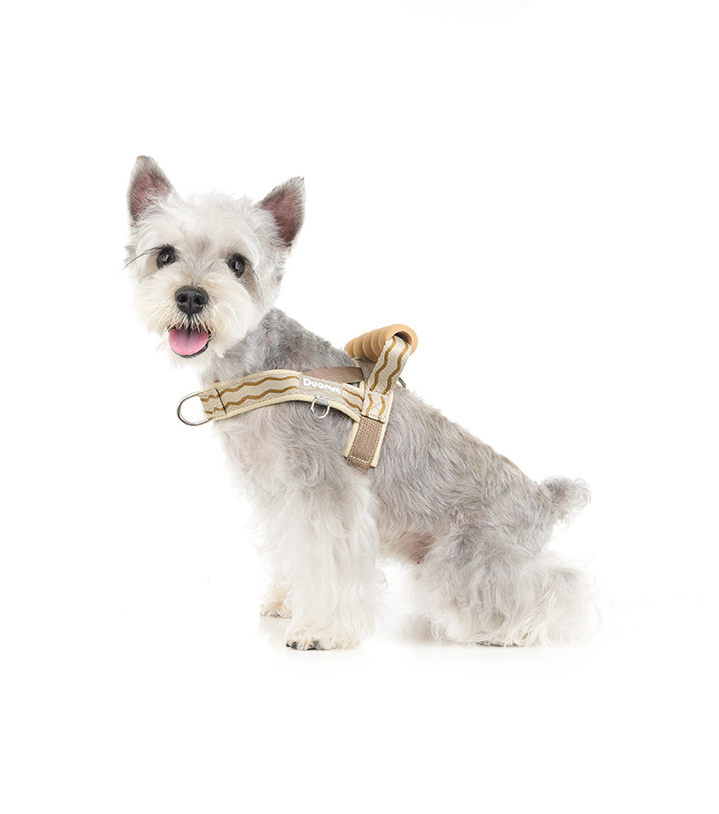 Fashionable Dog Harness With Foam Handle For Small Medium Dogs_voghion.com