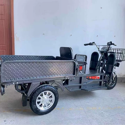 Elektrikli motosikletlər express delivery, mountain climbing, cargo