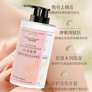 Camellia fragrance nicotinamide body milk moisturizing body lasting fragrance white camellia perfume moisturizing factory wholesale