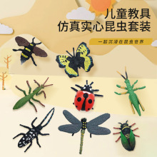 仿真实心昆虫套装蜻蜓蜜蜂瓢虫蝴蝶小景装饰0-3儿童认知礼物摆件