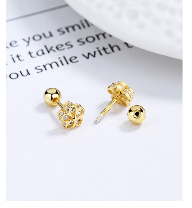 1g Weight 925 Sterling Silver Ear Needle Material Small Stud Earrings Classification Screw Backs Ear Cap Type 1 Pair Quantity Daily Occasion 925 Sterling Silver Material Flower Pattern All Seasons Season Women's Gender Plating Design Basic, Simple Style Style 1 Pair 925 Sterling Silver 925 Sterling Silver Earrings Flower Screw Backs Small Stud Earrings