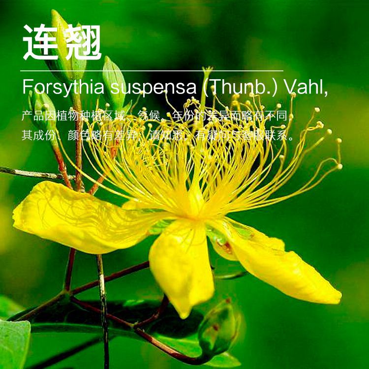 ��Ӧ���̴�¶ ����������ȡ ���Ҵ�¶���� ��ӭ��ѯ��ⱸ������