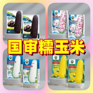 ������Ŵ�S���׷N�ӡ������׷N�Ӳ����׷N�Ӱ����׷N�Ӻ����׷N��