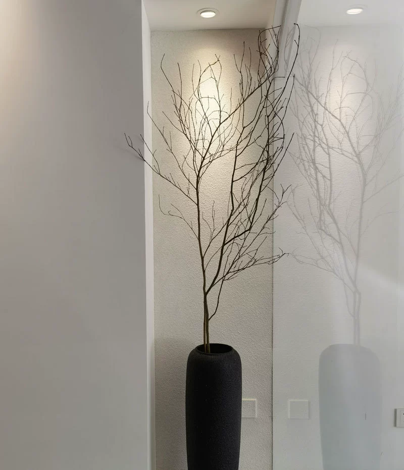 Сухие ветки, декоративные украшения, художественное моделирование, ландшафтный дизайн, магазин одежды, напольные украшения, ваза, сухоцветы, настоящие ветки