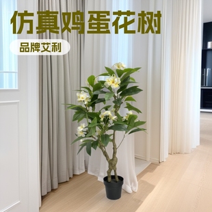 �u�����ָ��z���u���~�Gɫ�٘��~�@���҃����쾰�b��u������