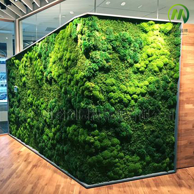 Decoración de pared de musgo inmortal, pared de plantas, paisaje de musgo falso, pintura diye, asta, pared de fondo de recepción, musgo inmortal