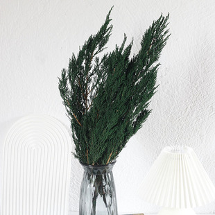 �����ɰ؈A�� ¹�Ǹɻ���Ȱ�DIY������޹Ϟ�T�z�S�����l�DŮ��