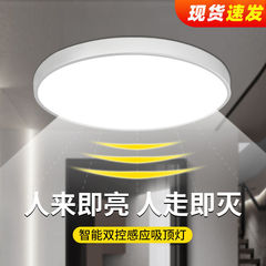 Inductive ceiling light, stairway corridor light, corridor corridor light, infrared human body radar induction light, intelligent voice control light 
