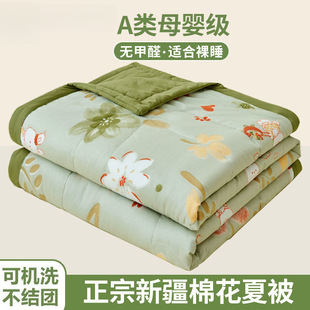 Xinjiang Cotton Summer Quilt Air-Conditioned Quilt Summer Quilt Machine Washable Single and Double Student Dormitory Thin Quilt
