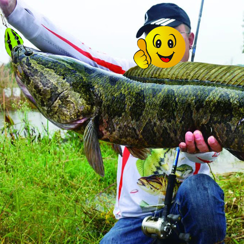 Mini thunder frog lure 4cm 5g simulated lure lure black fish soft bait modified thunder frog bait fishing gear wholesale