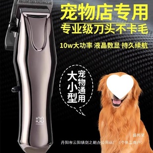 �S�Ҍ��I���ﹷ����ë����Ƽ���������ӹ�ë�������Ȯ