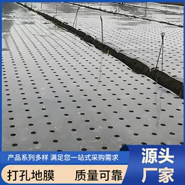 其他塑料薄膜;农用薄膜;手账贴纸/胶带