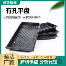 外贸供应150g有孔育苗花盆平盘100g育秧水稻托盘家用120g水培