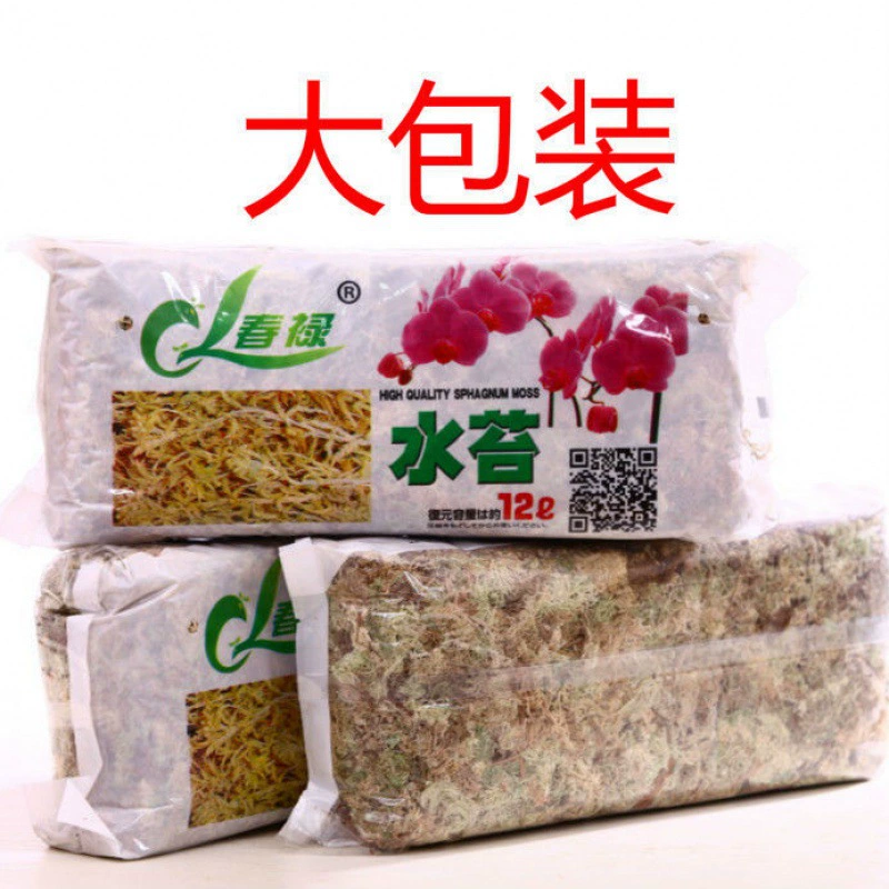 Сушеная вода Мох бабочка выращивание орхидей сушеная вода мох свиная клетка трава суккулент Дендробиум Горшечное растение сушеная вода мох рис
