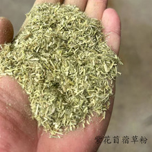 草粉厂家现货供应苜蓿草粉 饲料原料饲料添加国产紫花苜蓿草草粉