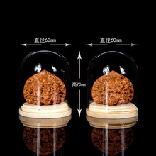 ������������Һ��J�ϙ��΢���^չʾ͸��������