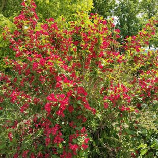 �t�����\���� �ļ��\�� ͥԺ�ͺ��G�h����\������  �G������