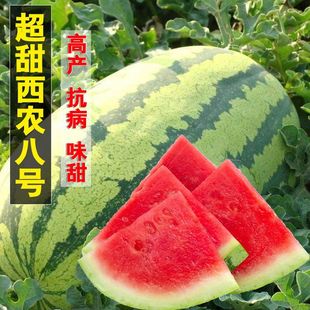 �������r��̖���ϷN�� �߮a�����ش����ёНh�����ϷN��ˮ���N��