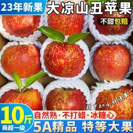 特大果礼盒10斤四川大凉山丑苹果新鲜水果冰糖心当季现摘整箱