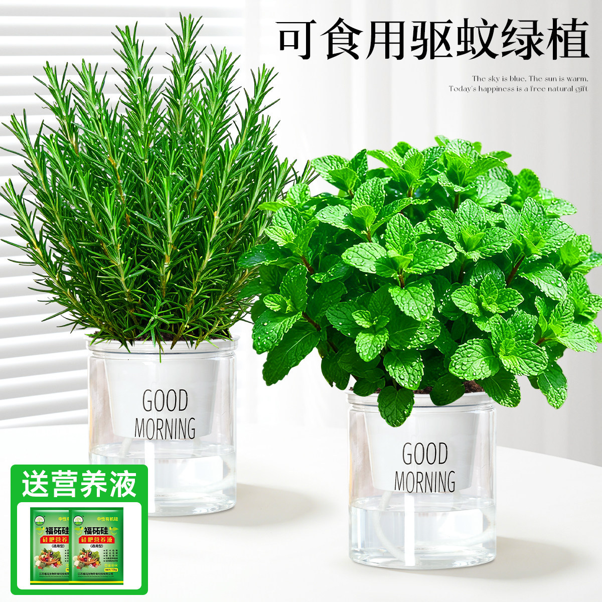 With simple planting pot
