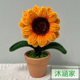 Pipe Cleaner Flowers��Ʒ�羳�ֹ�����ŤŤ�����տ����滨����