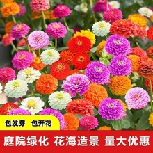 ղݻNļN_ͥԺNӸɣf۾ջNҰM