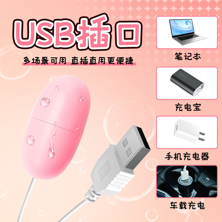 Huan Guo USB Single Vibrating Egg Rechargeable Pink ABS Adult Toy — detail image 12
