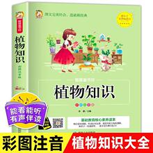 植物知识百科大全彩图注音版有声正版儿童课外书籍探索植物奥秘