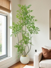 ?�ٻ��Gֲ�b��������҃����Դ�����ؔ[���͏d�p��ֲ���쾰