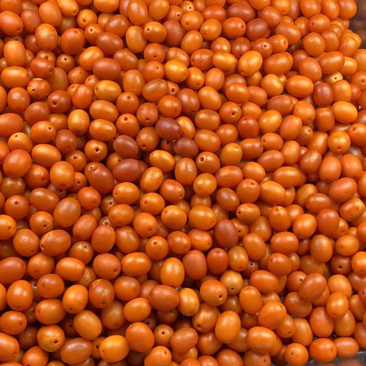 微信图片_202404252342371