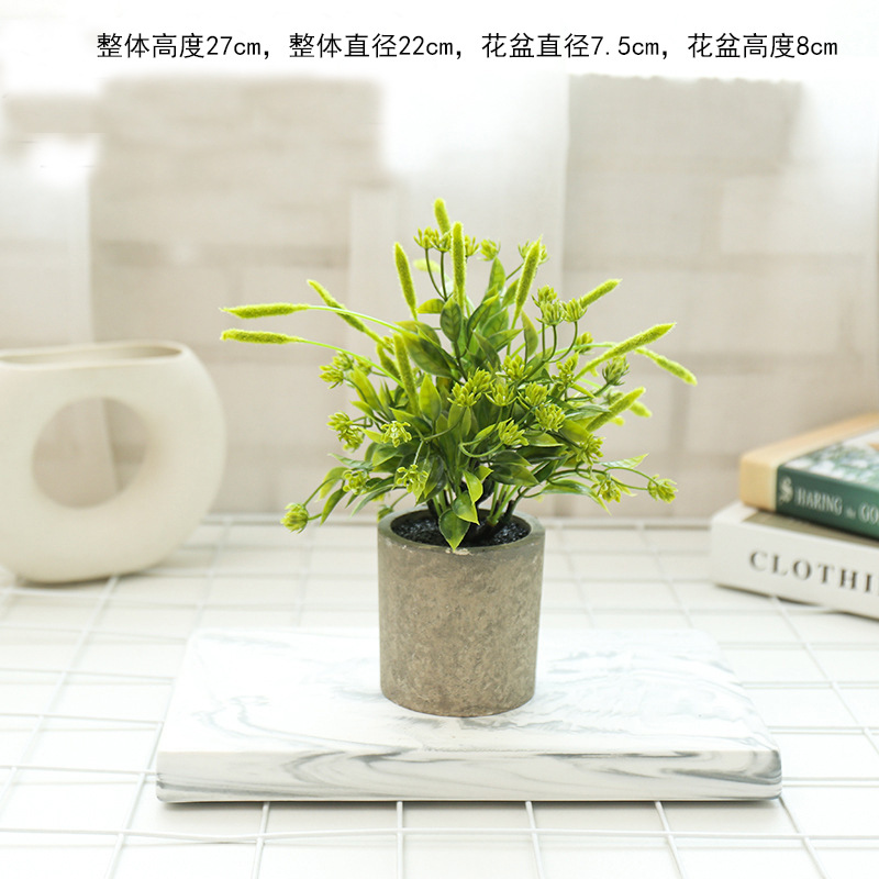 Dorado 2794 plantas verdes en maceta ☆