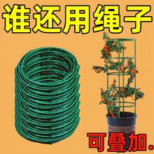 植物爬藤架子多层可拼接园艺支架绿萝支架室内阳台支撑杆户外花架